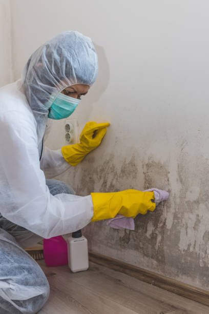 Best Biohazard Mold Removal  in La Ada Flintridge, CA