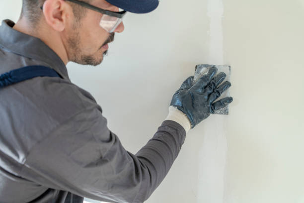 Professional Mold Removal in La Caada Flintridge, CA