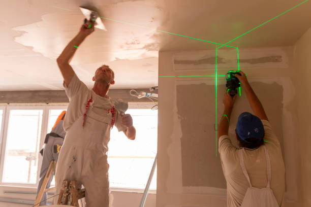 Best Basement Mold Removal  in La Ada Flintridge, CA